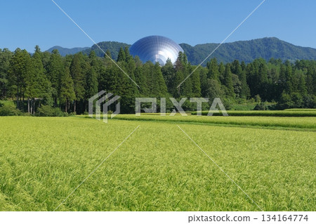 The Dinosaur Hall of the Fukui Prefectural Dinosaur Museum seen from the countryside 134164774