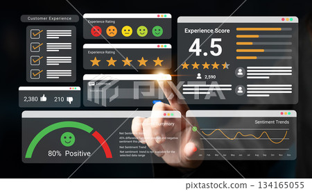 Customer experience and sentiment analysis dashboard Parse Customer experience and sentiment analysis dashboard Parse 134165055