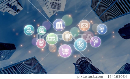 Digital Service Ecosystem and Business Icon Network Marrow 134165084