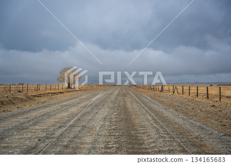 Gravel road stretching from Altai towards the Mongolian border with snowy mountain ridge. Desert steppe landscape under stormy cloudy sky showcasing wild remote terrain 134165683