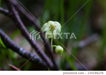 陣陽一役莊 陣陽一役莊 134166276
