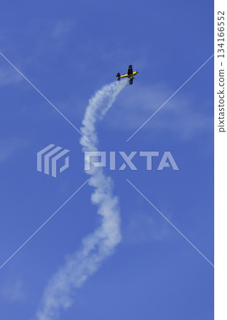 蘆屋空軍基地航展 134166552