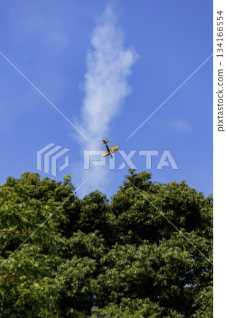 蘆屋空軍基地航展 134166554