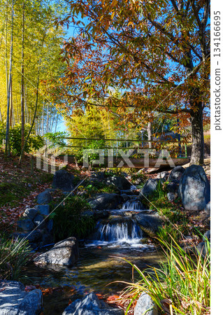 Keihanna Commemorative Park - A landscape with a stream - Water flowing down stone steps and a tree-lined path covered with fallen leaves 134166695