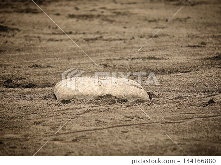 Black Earth Baseball Ground Base 134166880