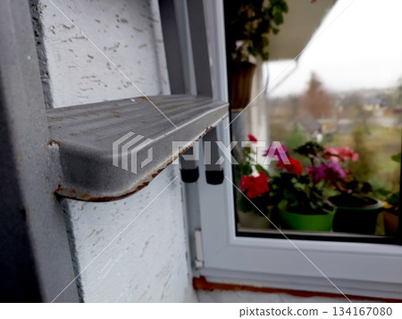 Ladder Next to Window With Flowers Outside During Cloudy Day in a Residential Area 134167080