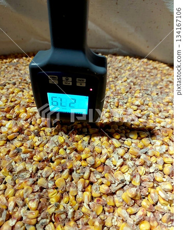 Measuring Moisture Level in Corn Grain Using a Handheld Device for Accurate Assessment Measuring Moisture Level in Corn Grain Using a Handheld Device for Accurate Assessment 134167106