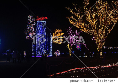 Citizens' Forest Park in front of Ojima City Hall (December 7, 2025) Illumination lighting ceremony - A large crowd gathers to attend Citizens' Forest Park in front of Ojima City Hall (December 7, 2025) Illumination lighting ceremony - A large crowd gathers to attend 134167567