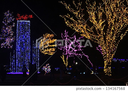 Town Forest Park Illuminations 2025 (12.7) The innovative "waterfall" is a showcase of the skills of volunteers Town Forest Park Illuminations 2025 (12.7) The innovative "waterfall" is a showcase of the skills of volunteers 134167568