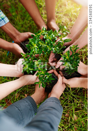 Plants, gardening and the hands of people outdoor, planting green growth in soil for sustainability or conservation. Nature, spring and earth day with a team working as an eco friendly community Plants, gardening and the hands of people outdoor, planting green growth in soil for sustainability or conservation. Nature, spring and earth day with a team working as an eco friendly community 134168591