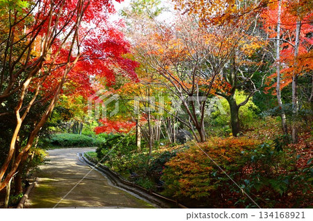 Autumn scenery at Shirotori Garden in Nagoya 134168921