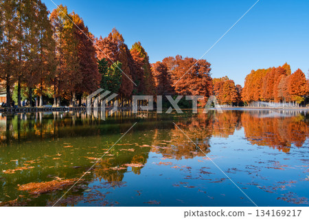 別所池的倒影 134169217