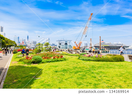Spring in Yokohama Bay Area: Yamashita Park Spring in Yokohama Bay Area: Yamashita Park 134169914