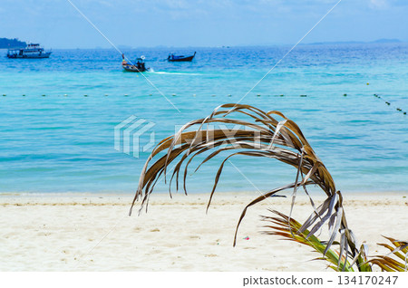 A beautiful beach with palm trees 134170247