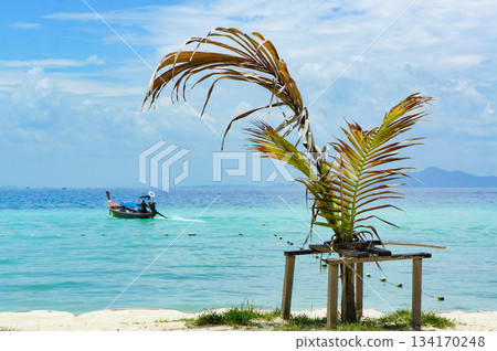 A beautiful beach with palm trees A beautiful beach with palm trees 134170248