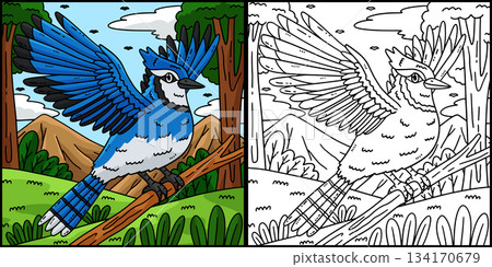 Forest Animal Jay Bird Coloring Page Illustration Forest Animal Jay Bird Coloring Page Illustration 134170679