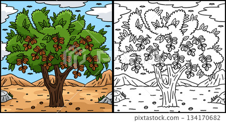 Almond Tree Fruit Plant Coloring Page Illustration Almond Tree Fruit Plant Coloring Page Illustration 134170682