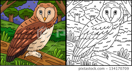 Forest Animal Tawny Owl Coloring Page Illustration 134170709