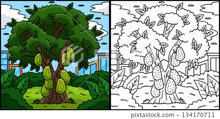 Jackfruit Tree Plant Coloring Page Illustration Jackfruit Tree Plant Coloring Page Illustration 134170711