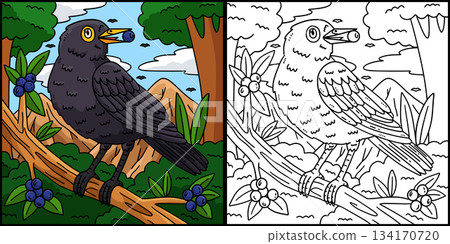 Forest Animal Blackbird Coloring Page Illustration 134170720