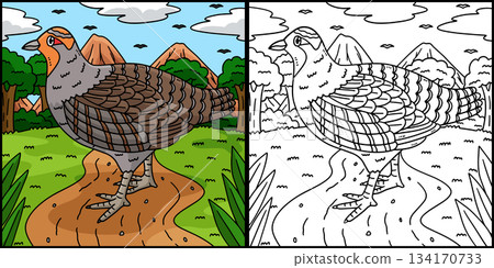 Forest Animal Partridge Coloring Page Illustration Forest Animal Partridge Coloring Page Illustration 134170733