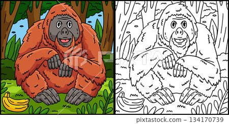 Great Ape Orangutan Coloring Page Illustration Great Ape Orangutan Coloring Page Illustration 134170739