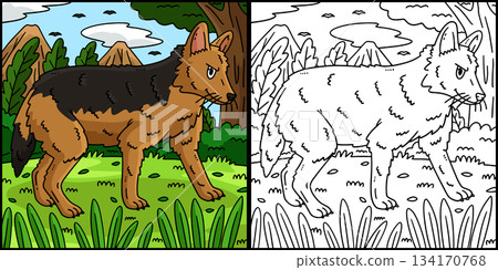 Forest Animal Golden Jackal Coloring Illustration Forest Animal Golden Jackal Coloring Illustration 134170768
