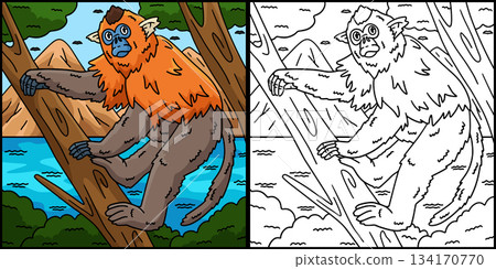 Golden Snub Nosed Monkey Coloring Illustration Golden Snub Nosed Monkey Coloring Illustration 134170770