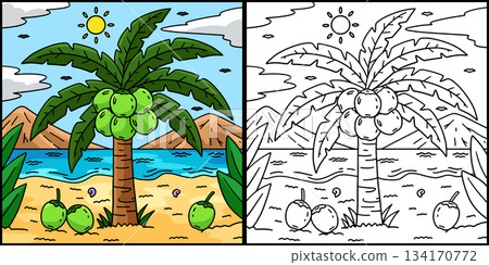 Coconut Palm Fruit Plant Coloring Illustration Coconut Palm Fruit Plant Coloring Illustration 134170772