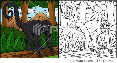 Spider Monkey Coloring Page Colored Illustration  134170799