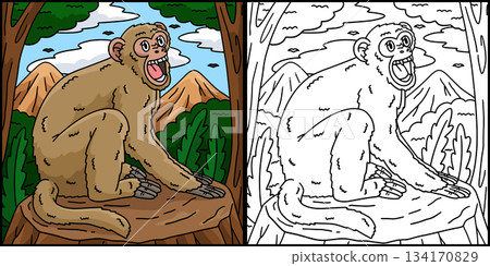 Rhesus Macaque Monkey Coloring Page Illustration Rhesus Macaque Monkey Coloring Page Illustration 134170829