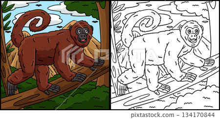 Peruvian Yellow Tailed Woolly Monkey Illustration Peruvian Yellow Tailed Woolly Monkey Illustration 134170844