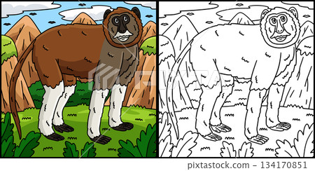 Patas Monkey Coloring Page Colored Illustration  134170851