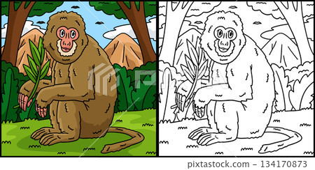 Assamese Macaque Monkey Coloring Page Illustration Assamese Macaque Monkey Coloring Page Illustration 134170873