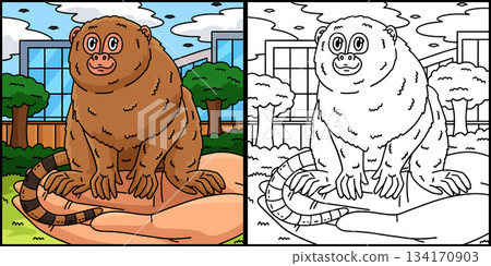 Pygmy Marmoset Monkey Coloring Page Illustration Pygmy Marmoset Monkey Coloring Page Illustration 134170903