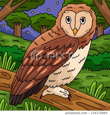 Forest Animal Tawny Owl Colored Cartoon  134170964
