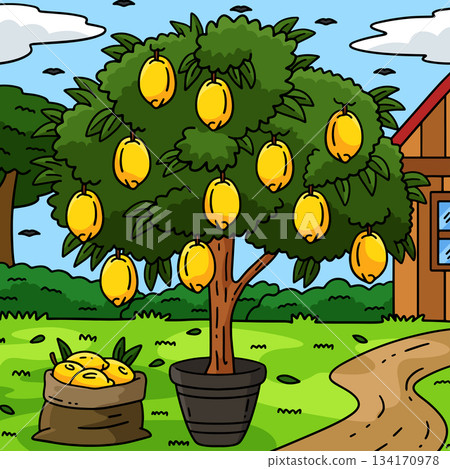 Lemon Tree Fruit Plant Nature Colored Cartoon  134170978