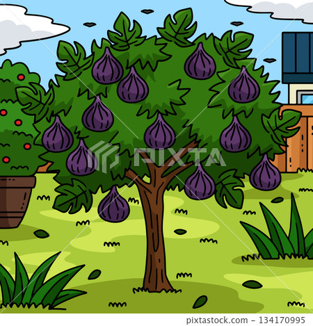 Fig Tree Fruit Plant Colored Cartoon Illustration  134170995
