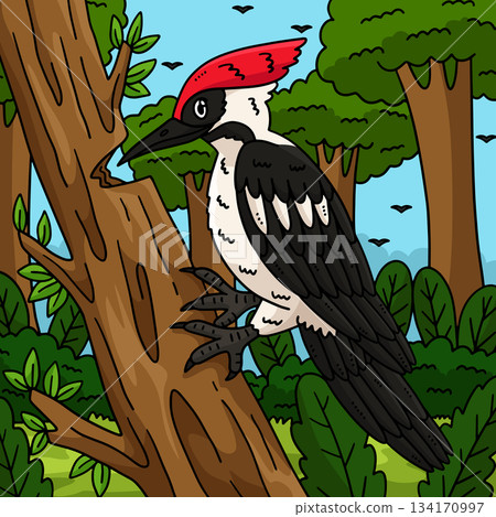 Forest Animal Woodpecker Colored Cartoon  134170997
