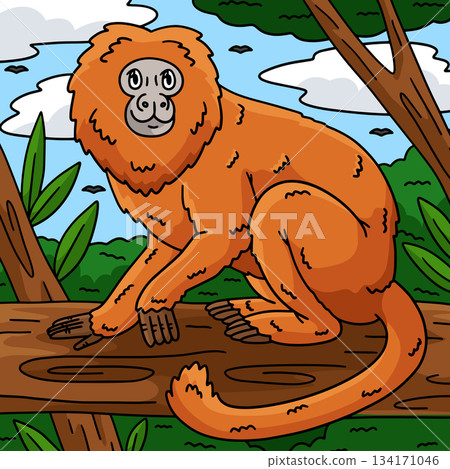 Golden Lion Tamarin Monkey Colored Cartoon  134171046