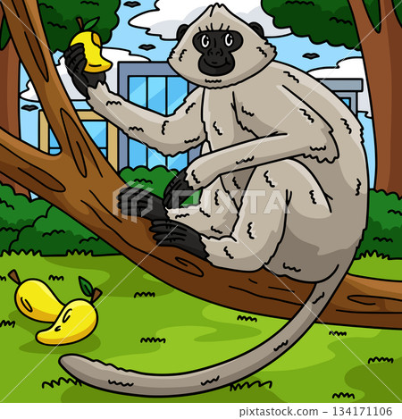 Hanuman Langur Monkey Colored Cartoon Illustration 134171106