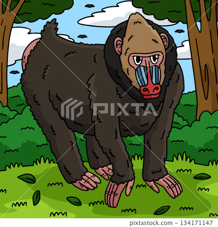 Mandrill Monkey Animal Colored Cartoon  134171147
