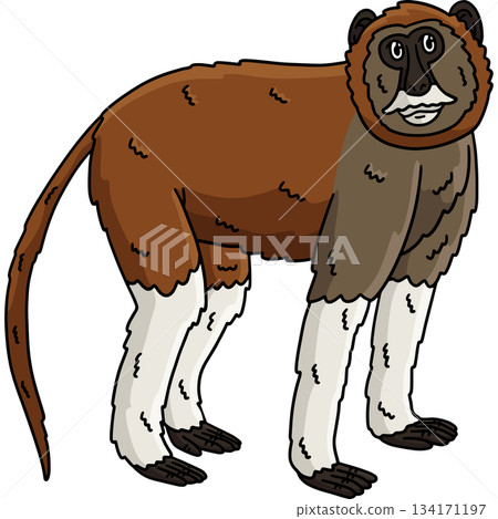 Patas Monkey Animal Cartoon Colored Clipart  134171197