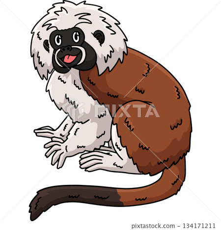 tton Top Tamarin Monkey Cartoon Colored Clipart tton Top Tamarin Monkey Cartoon Colored Clipart 134171211
