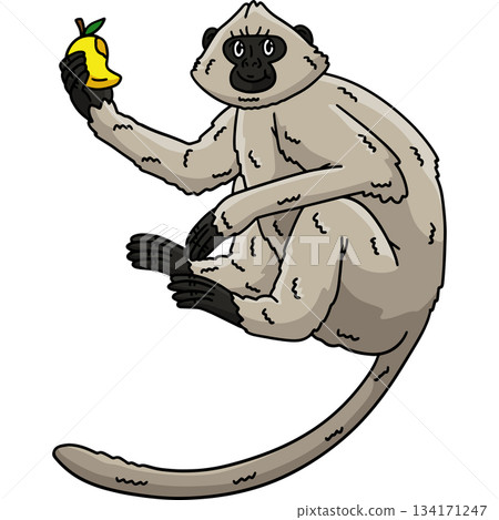Hanuman Langur Monkey Cartoon Colored Clipart  134171247