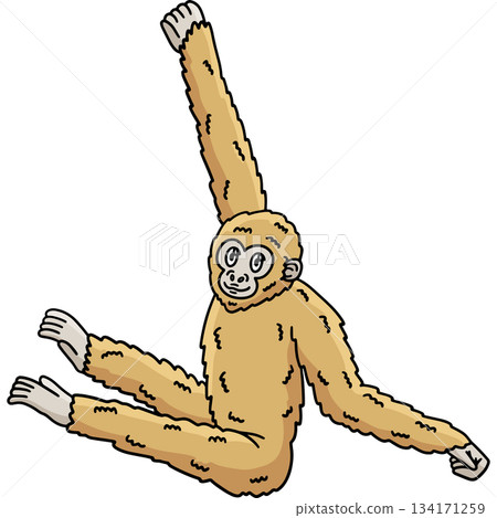 Gibbon Ape Animal Cartoon Colored Clipart  134171259