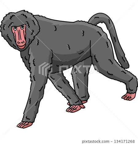 Baboon Monkey Animal Cartoon Colored Clipart  134171268
