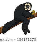 White Faced Saki Monkey Cartoon Colored Clipart  134171273