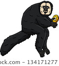 White Faced Saki Monkey Cartoon Colored Clipart  134171277