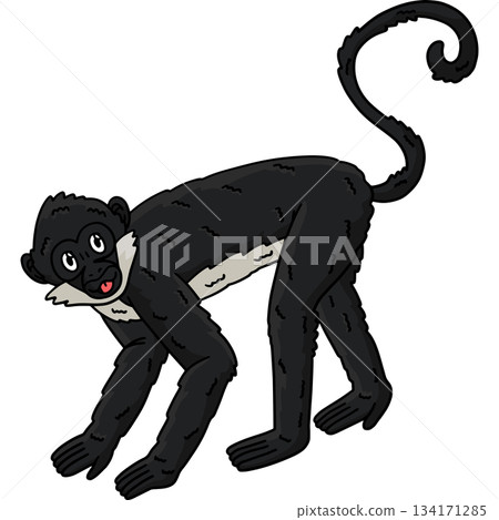 Geoffroy Spider Monkey Animal Cartoon Clipart Geoffroy Spider Monkey Animal Cartoon Clipart 134171285